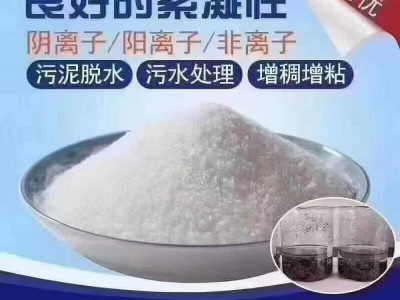 水處理聚丙烯酰胺